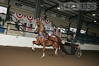 r14-04_1338 thumbnail