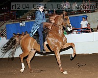 r12-04--0634_1_8x10_lapham thumbnail