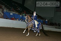 r12-04--0682 thumbnail