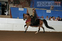 r12-04--0691 thumbnail
