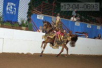 r12-04--0693 thumbnail