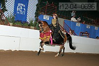 r12-04--0696 thumbnail