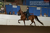 r12-04--0882 thumbnail