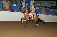 r12-04--0984 thumbnail