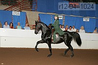 r12-04--1024 thumbnail