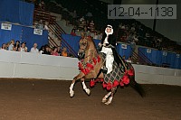 r12-04--1138 thumbnail
