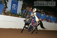 r12-04--1141 thumbnail