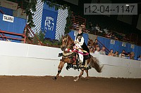 r12-04--1147 thumbnail