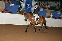 r12-04--1172 thumbnail