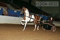 r12-04--0032 thumbnail