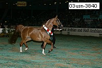 03usn-3840 thumbnail