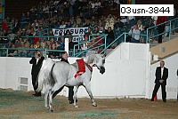 03usn-3844 thumbnail