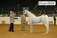 03usn-0829 thumbnail