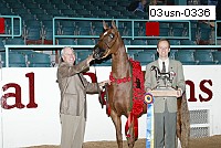 03usn-0336 thumbnail