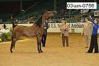 03usn-0756 thumbnail