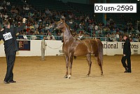 03usn-2599 thumbnail